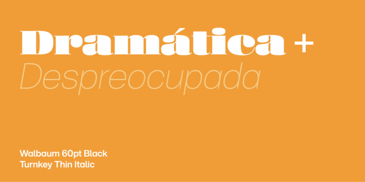 Dramático en Walbaum Black 60pt, desenfadado en Turnkey Thin Italic.